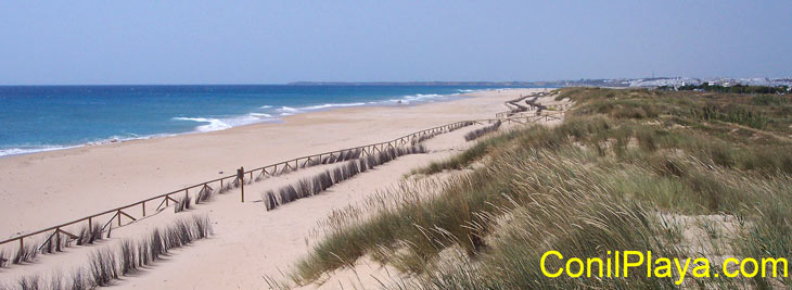 La playa de El Palmar, desde las dunas. Al fondo se encuentra Conil.