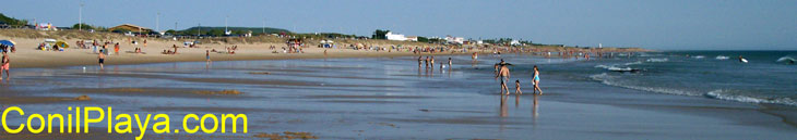 Playa de El Palmar