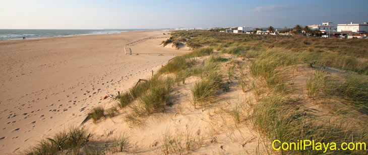 Playa del Palmar a la altura de la venta reyes.