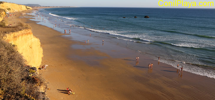 playa de conil2