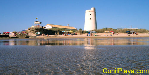 el palmar torre nueva