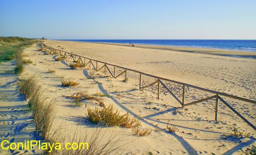 playa del palmar2