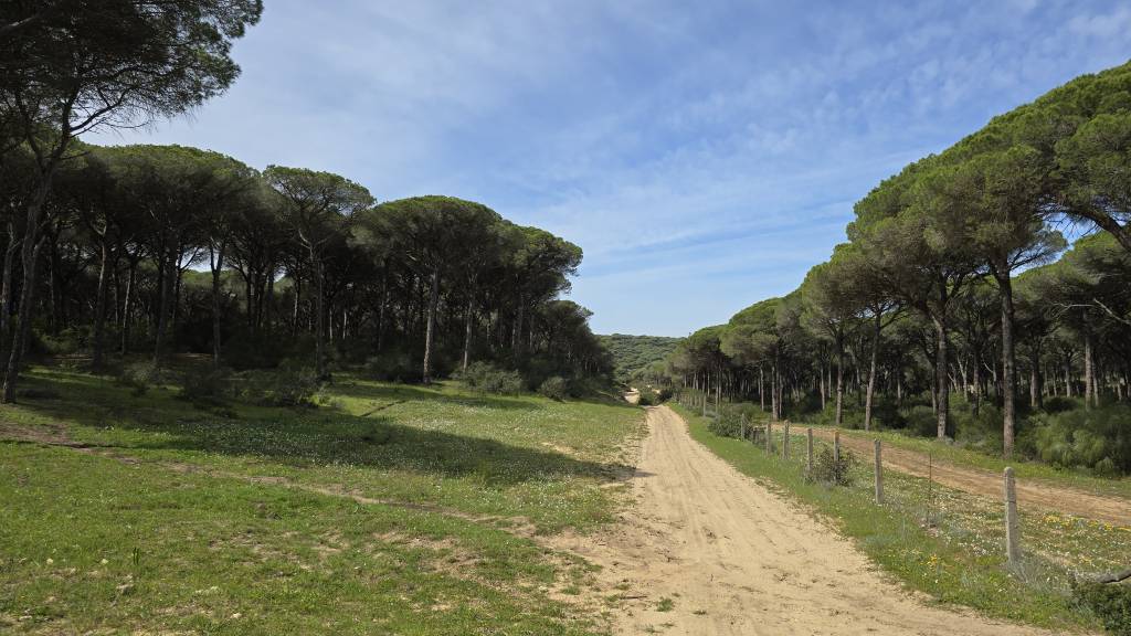 parque natural la breña