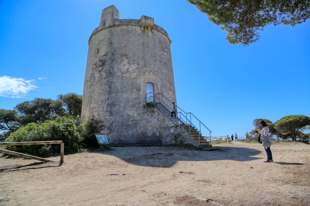 torre del tajo