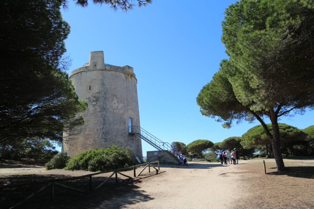 torre la breña