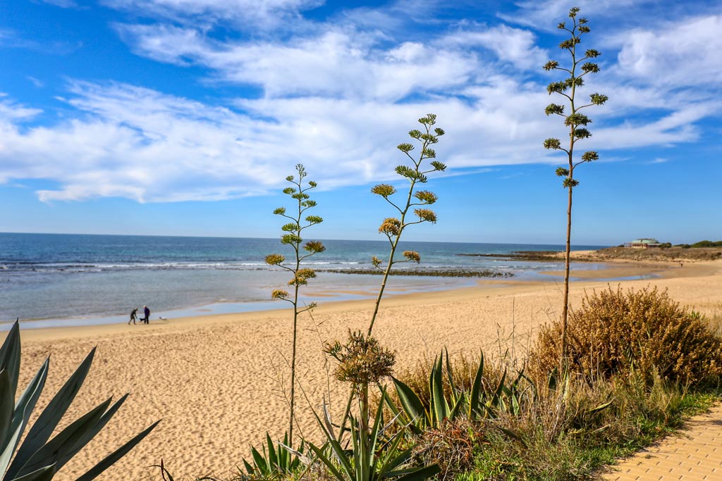 Vista de la playa de de Zahora.